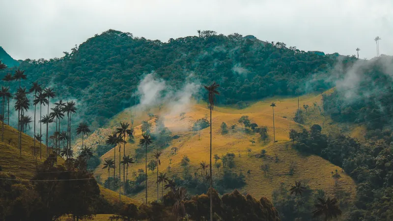 valle_del_cocora